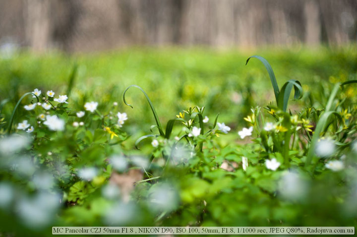 Пример фотографии на Carl Zeiss MC PANCOLAR (50/1.8) Пример фотографии на Carl Zeiss MC PANCOLAR (50/1.8)