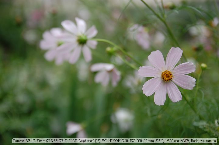 Фотография на Tamron AF 17-50mm f/2.8 SP XR Di II LD Aspherical IF VC Фотография на Tamron AF 17-50mm f/2.8 SP XR Di II LD Aspherical IF VC