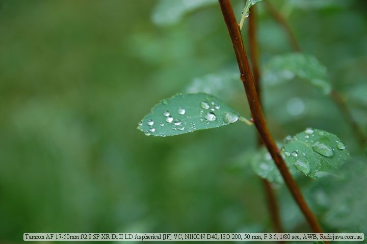 Фотография на Tamron AF 17-50mm f/2.8 SP XR Di II LD Aspherical IF VC Фотография на Tamron AF 17-50mm f/2.8 SP XR Di II LD Aspherical IF VC