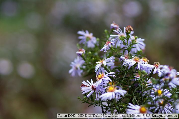 Пример фотографии на Canon 400D Пример фотографии на Canon 400D