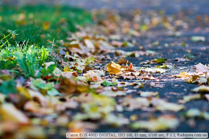 Пример фотографии на Canon 400D Пример фотографии на Canon 400D