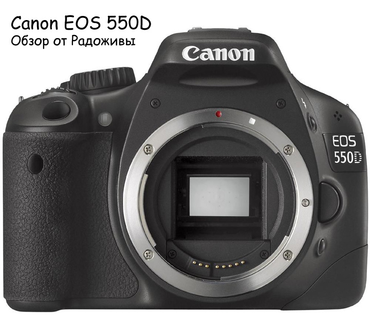 Canon eos 550d примеры фото