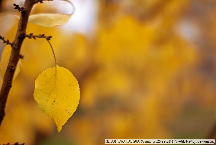 Пример фотографии на Nikon D60 Пример фотографии на Nikon D60