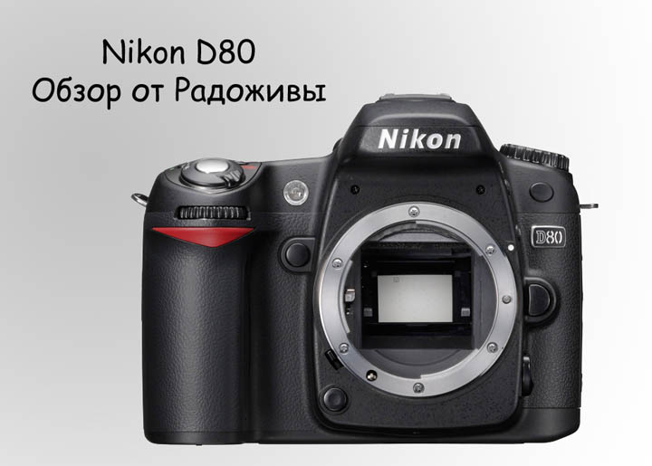 Nikon D80body