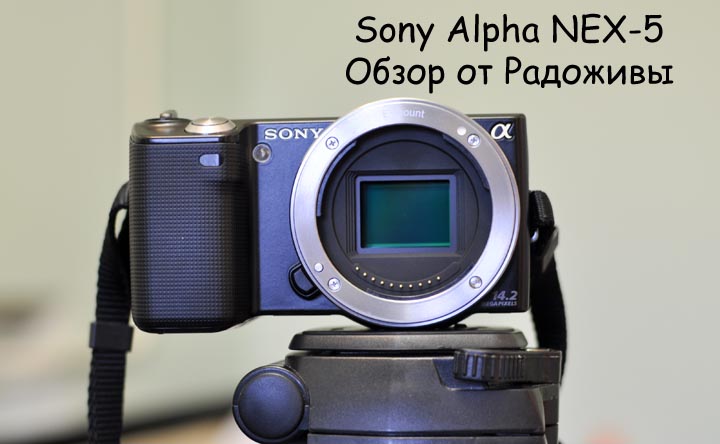 Weergave van Sony Alpha NEX-5 zonder lens