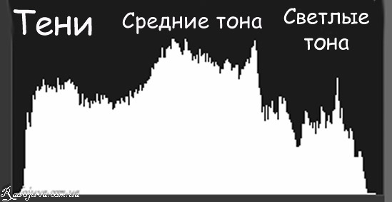 staafdiagram