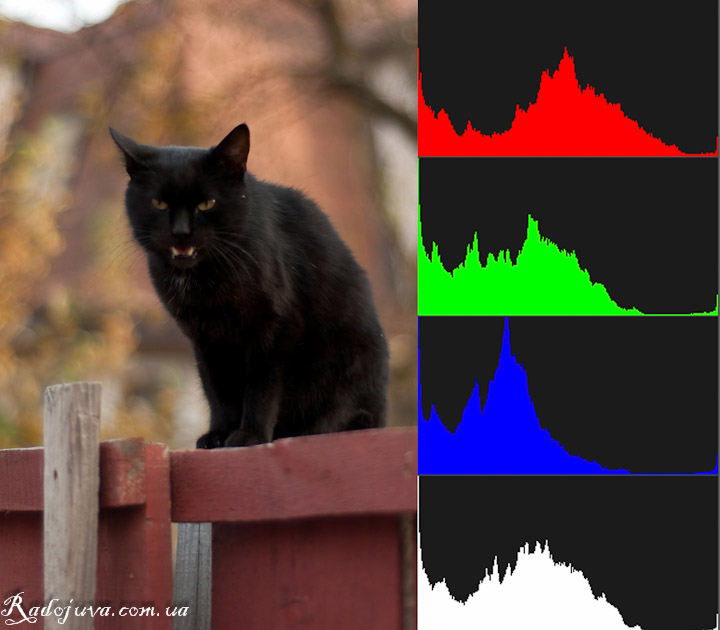 Een foto met een enorm donker gebied. Het histogram wordt naar links "verschoven".