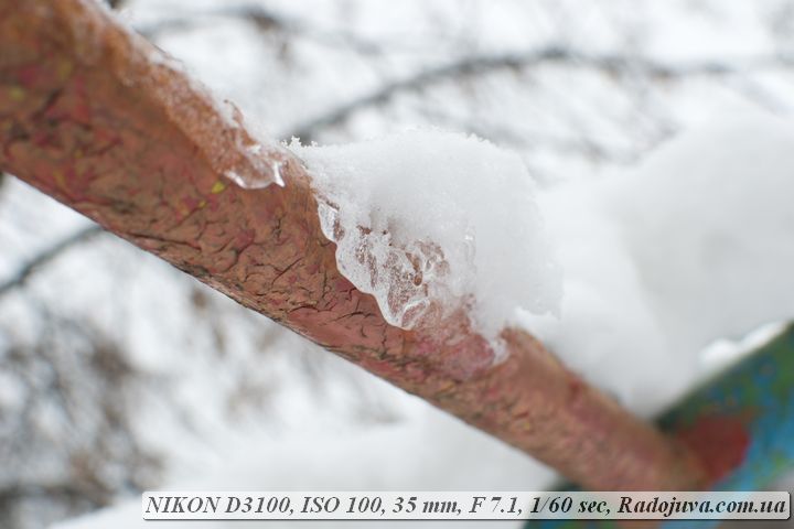Exemple de photo sur Nikon D3100