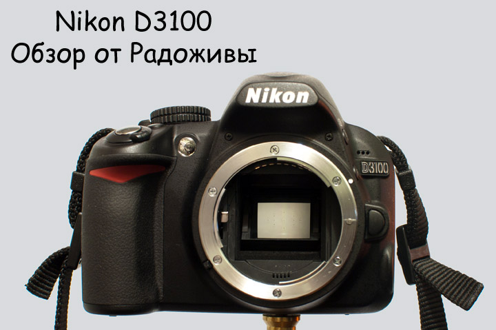 Nikon d3100 карта памяти