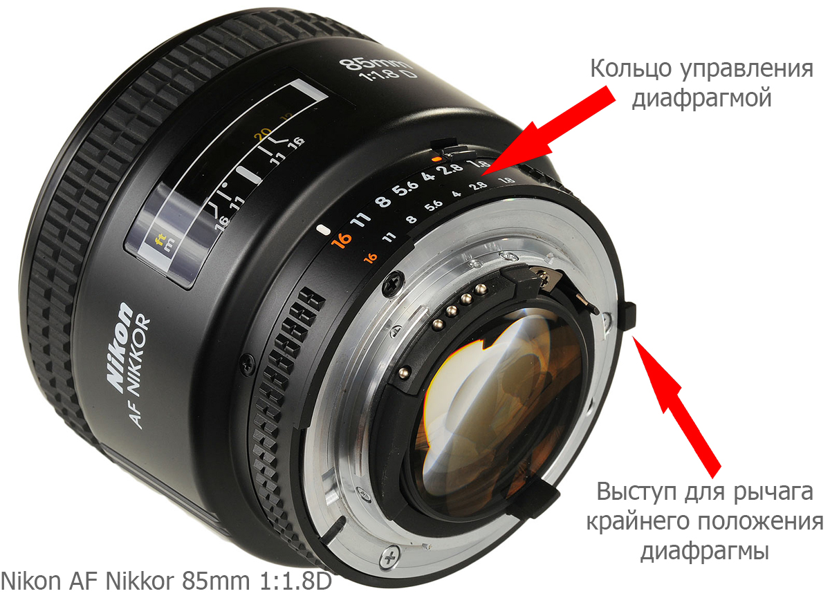 Nikon Z + objetivos Nikkor F, ¿qué tal funciona la combinación? 