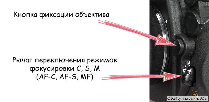 Focus Modes On Nikon Focusing On Nikon Cameras Happy