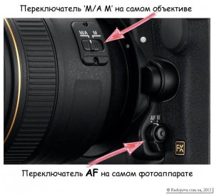 Modes De Mise Au Point Sur Nikon Réglage De La Mise Au Point Sur Les