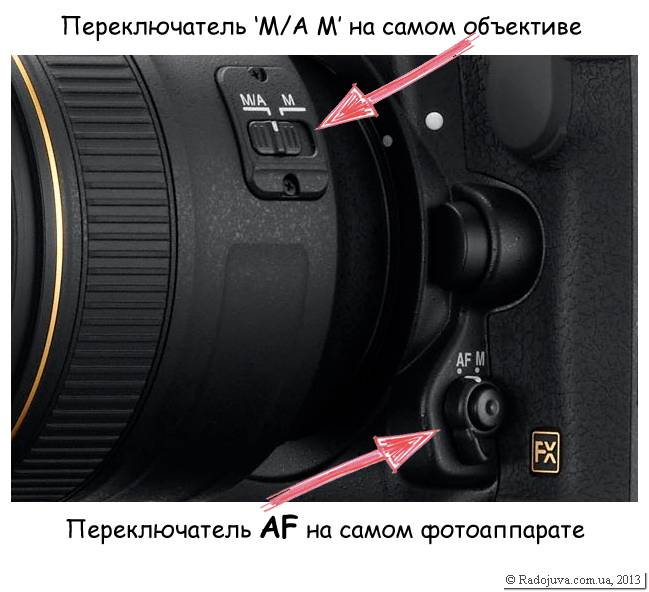 Modos de enfoque en Nikon. Ajuste de enfoque en c maras Nikon