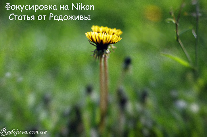 Фокусування на Nikon