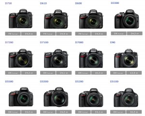 Which Nikon camera is better. Which Nikon camera to buy | Happy