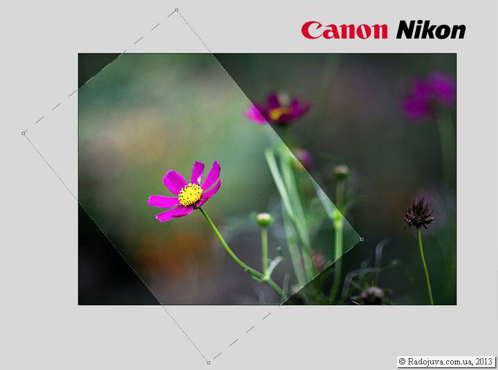 Nikon et Canon