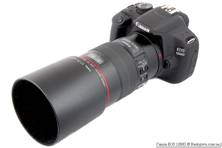 Canon EOS 1200D con objetivo macro Canon EF 100 mm 1:2.8 L IS USM