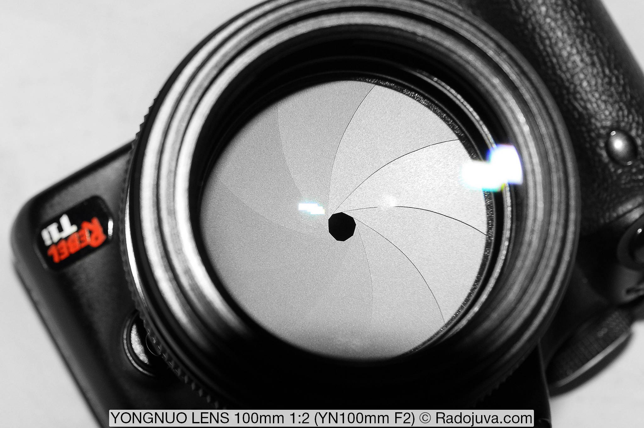 Yongnuo YN 100mm f / 2 lens