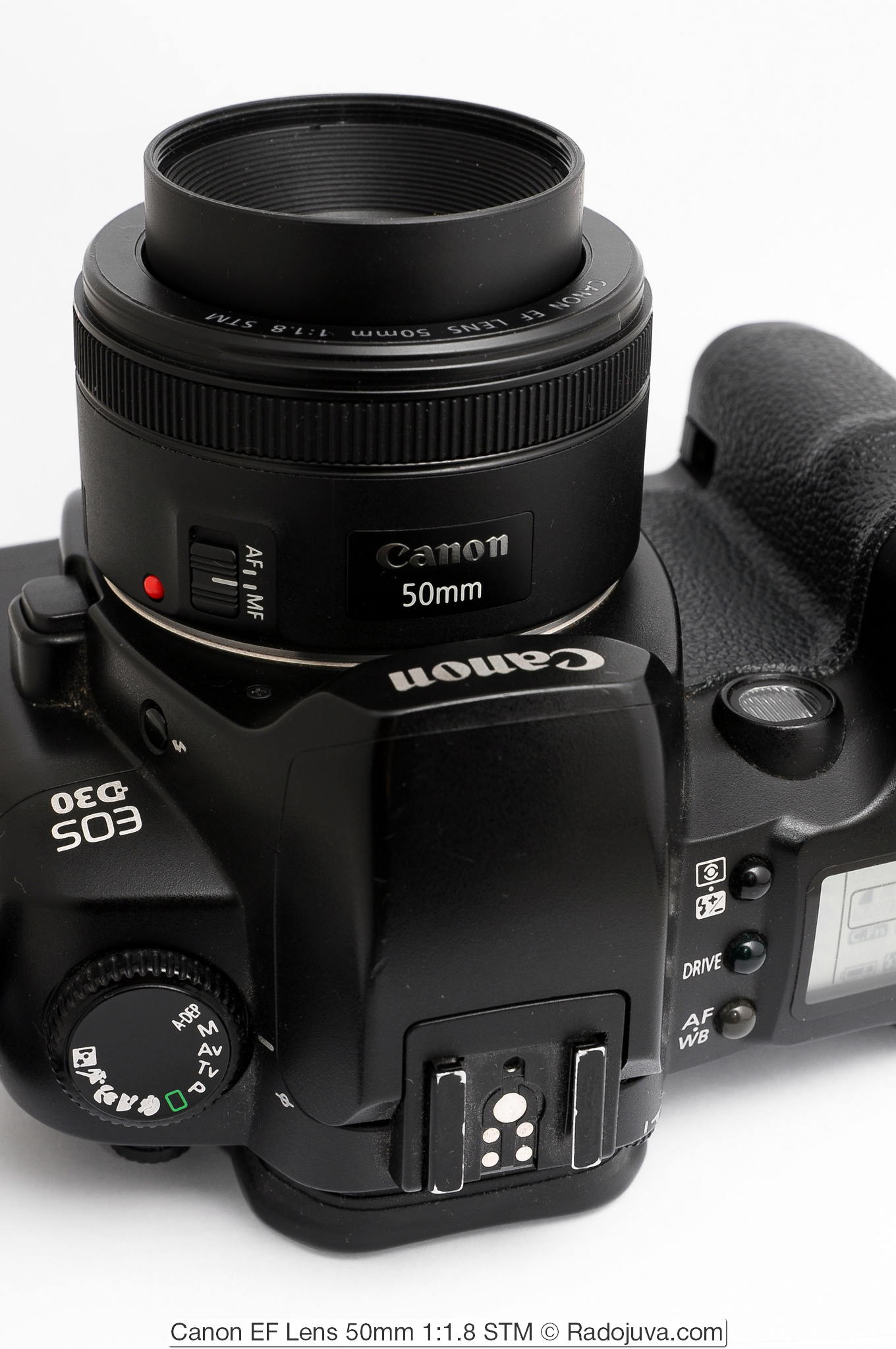 Обзор Canon EF 50mm f/1.8 STM | Радожива