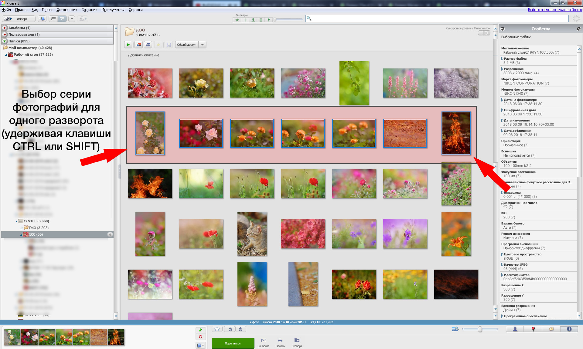 Create a spread for a photo book using Google Picasa