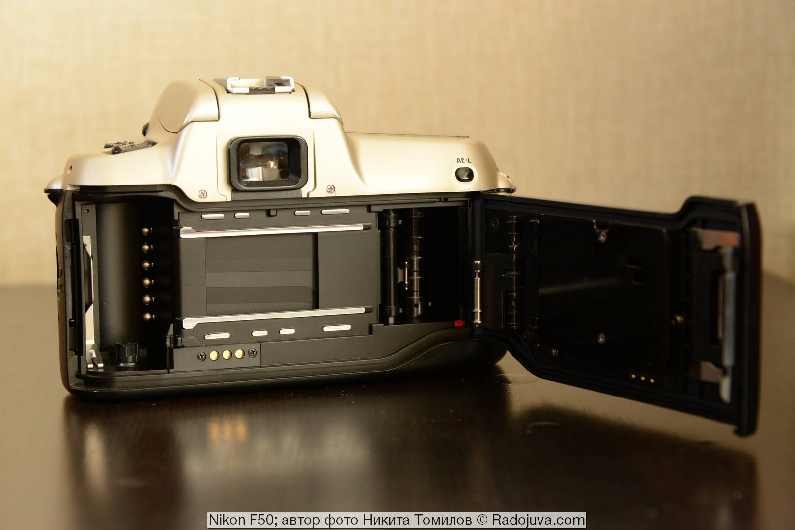Nikon F50. Review from the reader Radozhiva | Happy
