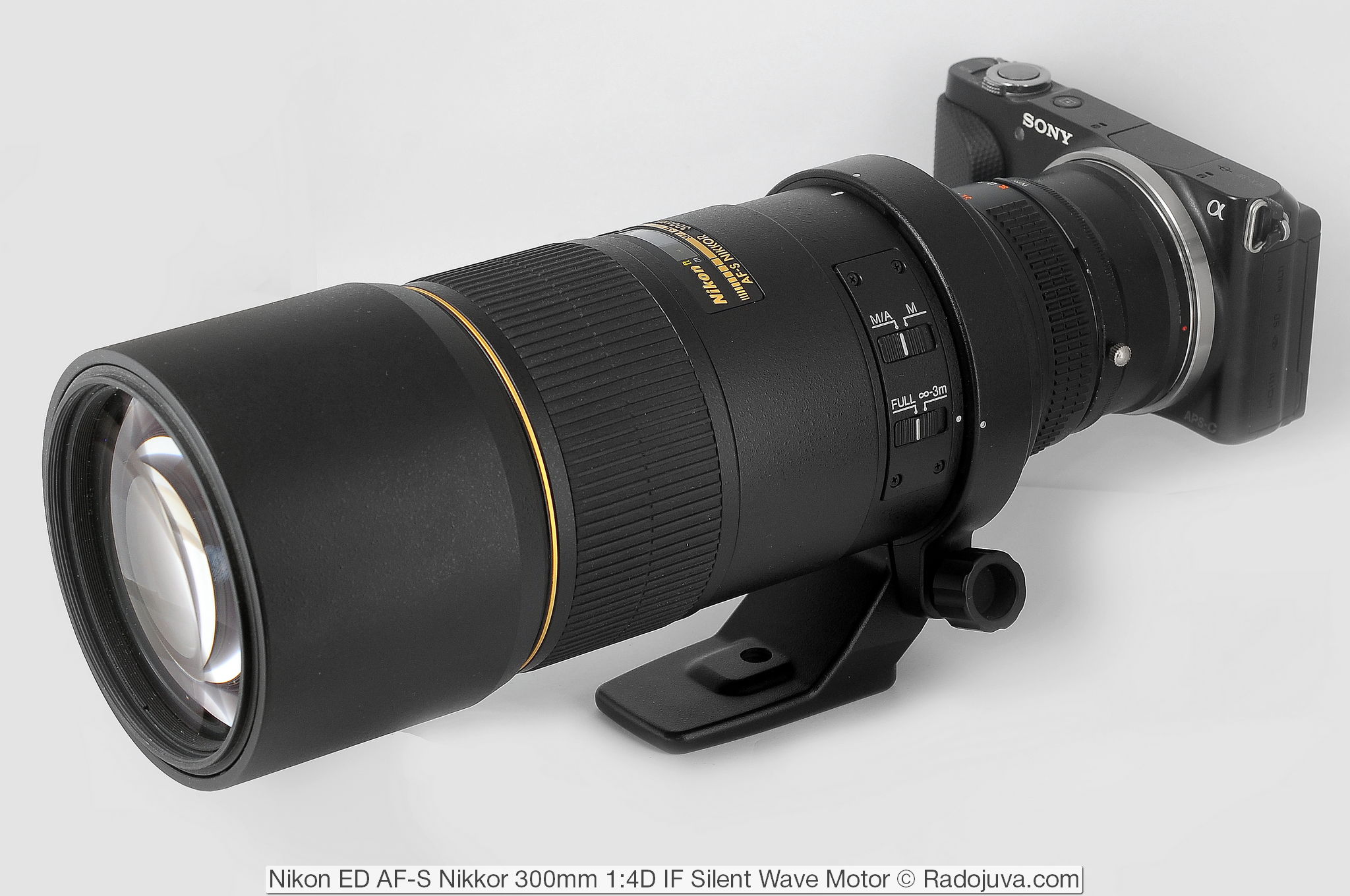 Nikon ED AF-S Nikkor 300mm F/4 D IF SWM Review | Content