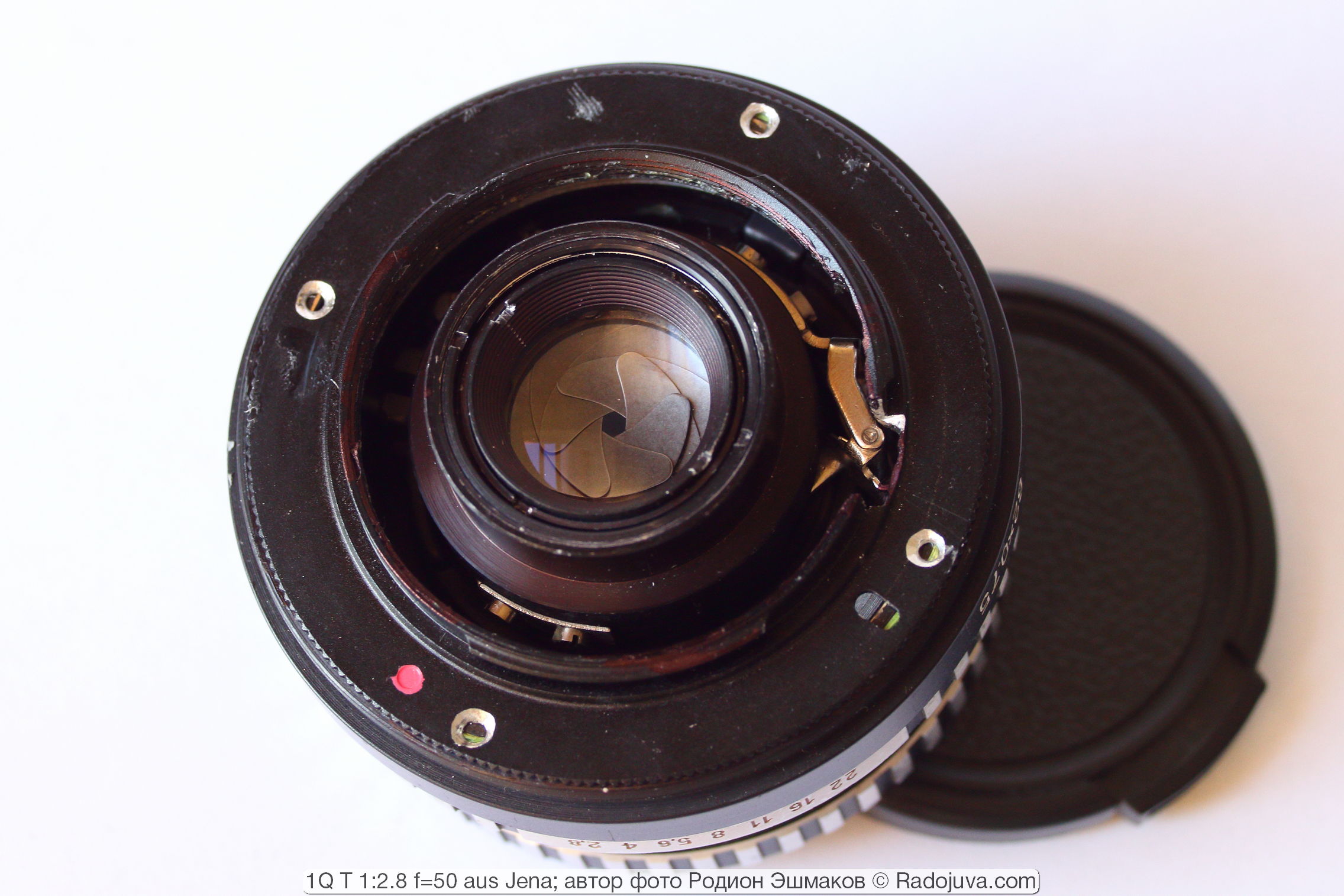 View of the adapted lens from the side of the shank.
