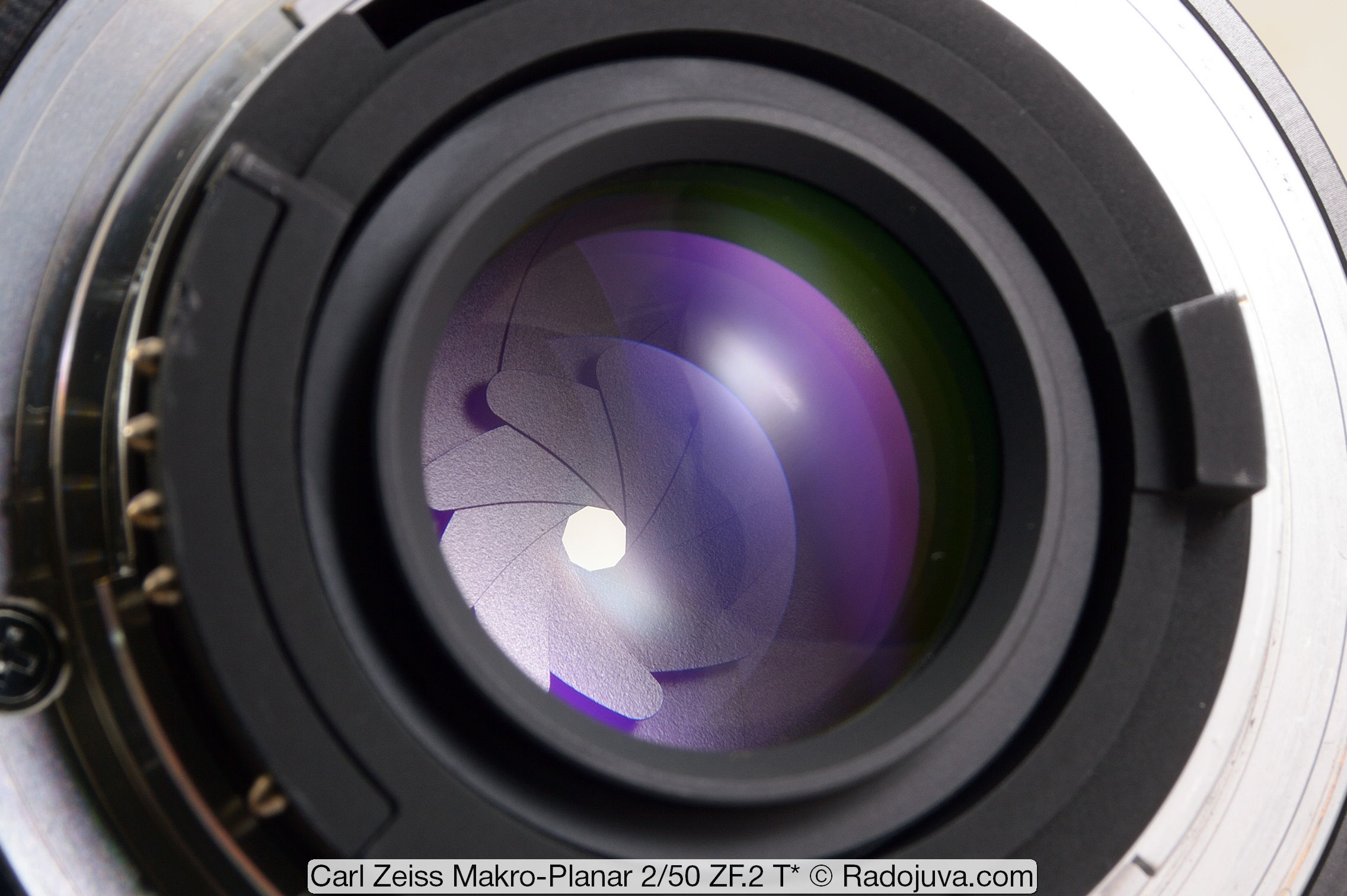 CarlZeiss Makro Planar 50mm F2 ZF.2 ツァイス - レンズ(単焦点)