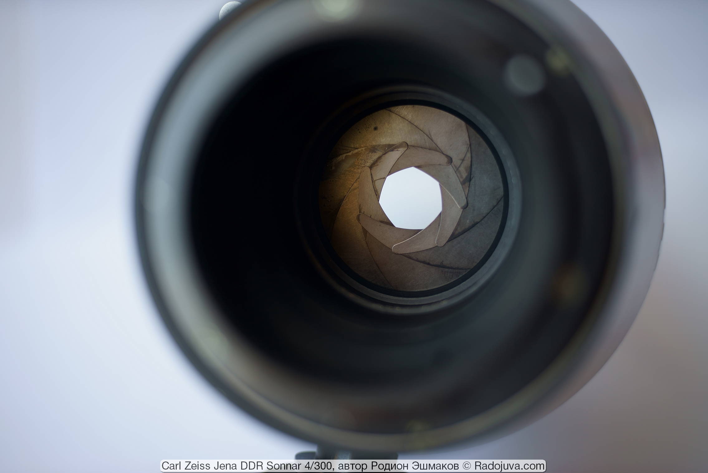 View of the Sonnar 4/300 diaphragm from the bayonet side with the protective glass removed.
