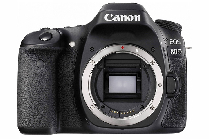Brief Review of Canon EOS 80D from Reader Radozhiva | Radozhiva