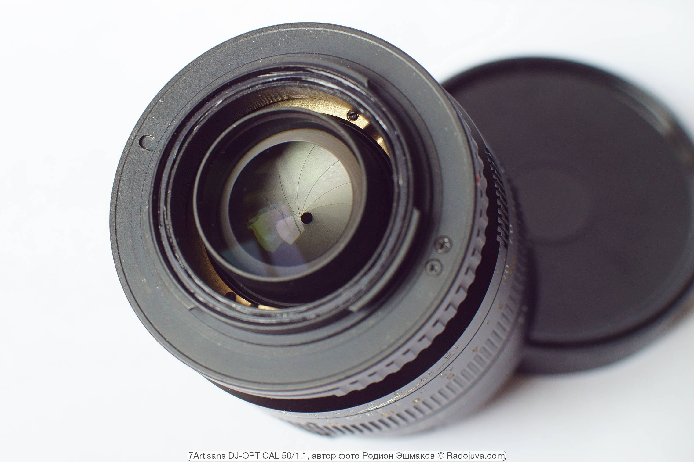 Rear lens view of the lens.