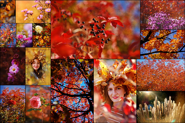 Autumn on Helios-81 + Nikon D40