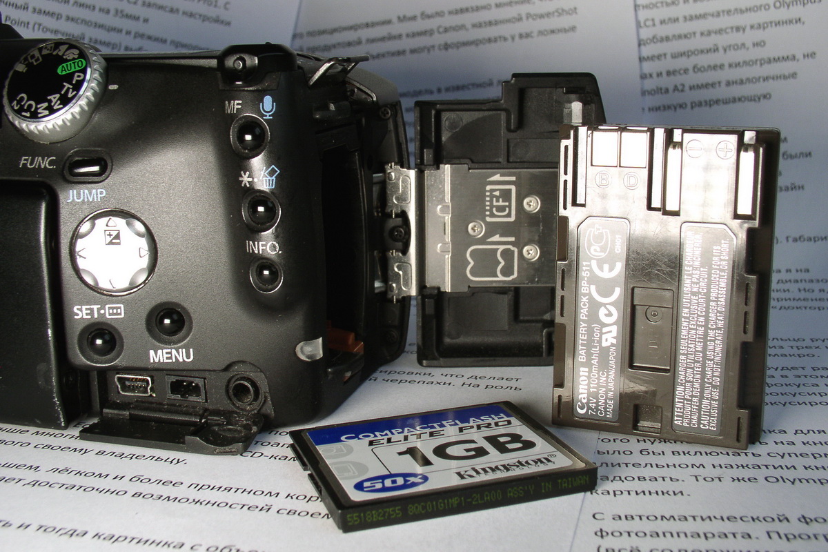 arroz. 008 - Canon Pro1: batería y tarjeta de memoria