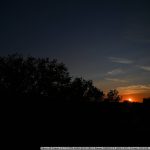 DSC_0105