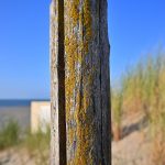 DSC_0372