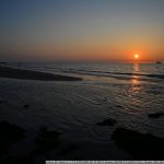 DSC_0691
