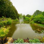 DSC00022