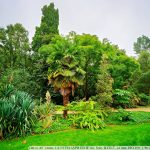 DSC00057