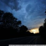 DSC00316