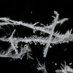 DSC04477-549_ZnO_5x015