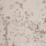 DSC05467