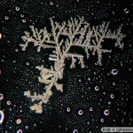 DSC05559-71