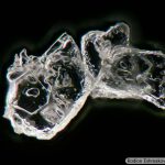 DSC05651-91