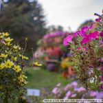 DSC06090