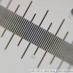 DSC06100_vi40_dir_foc