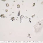 DSC06105