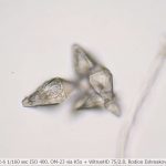 DSC06144