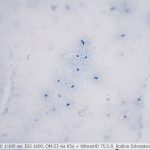 DSC06188