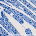 DSC06199-208_VI40_OI10