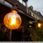 DSC09345